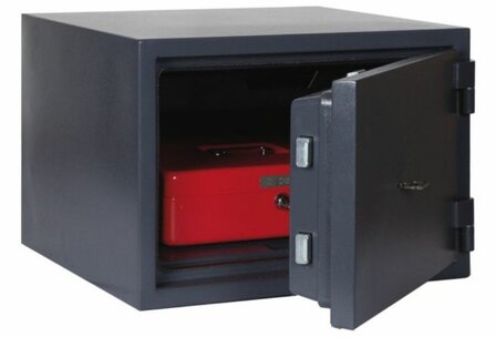 Filex Security CS 1 1